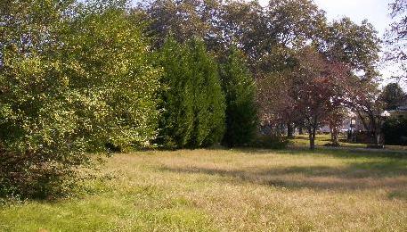 the Abbot's Gardens